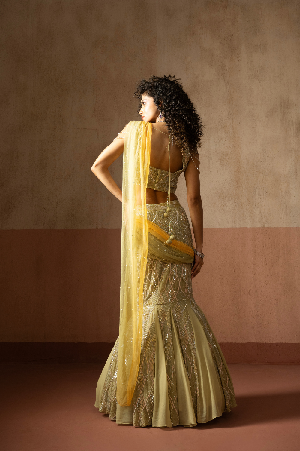 Fishtail style , sage green & pastel yellow hand embroidered , net &georgette fishtail saree, concept saree