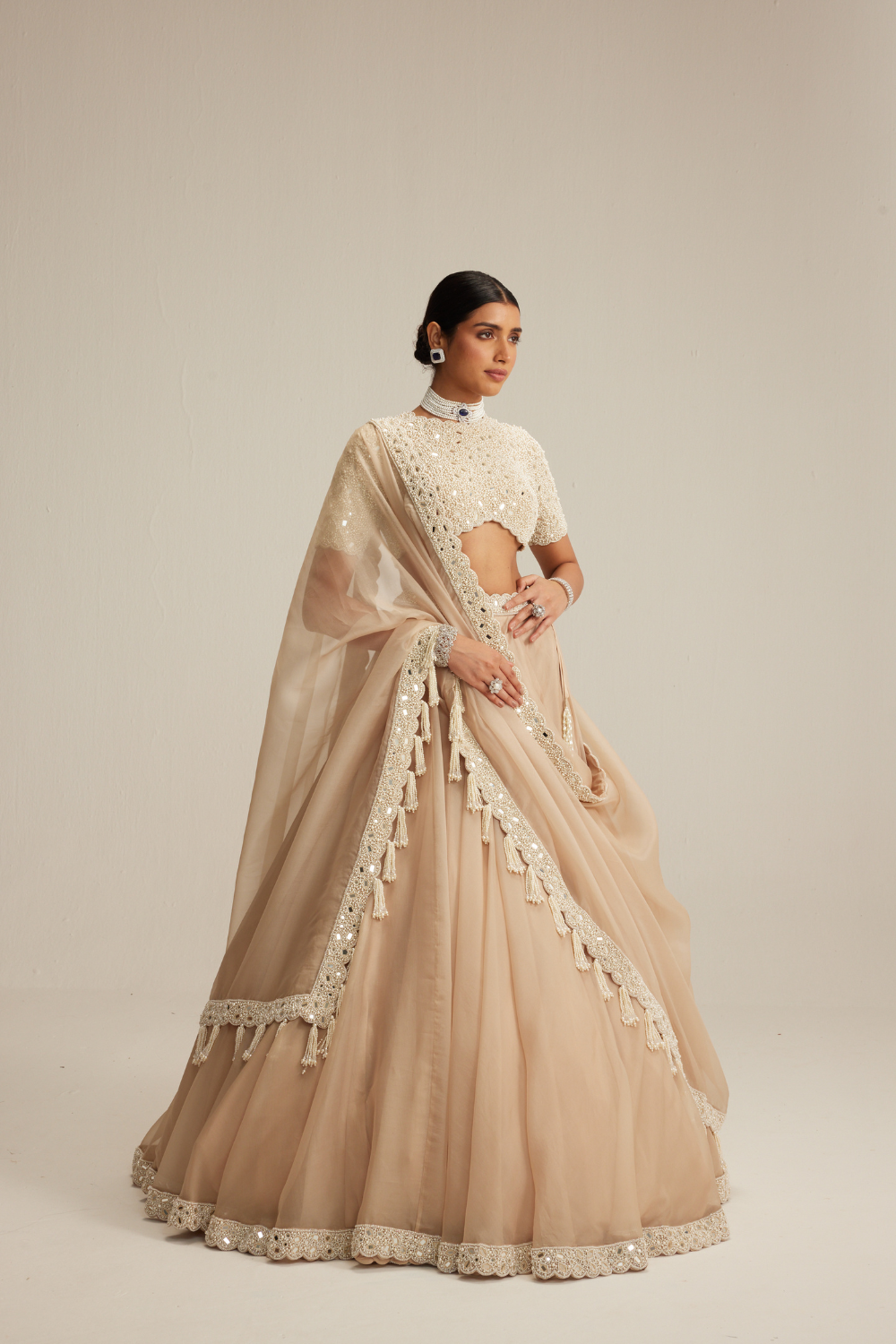 Light Beige Organza Lehenga Set with High Neck Blouse