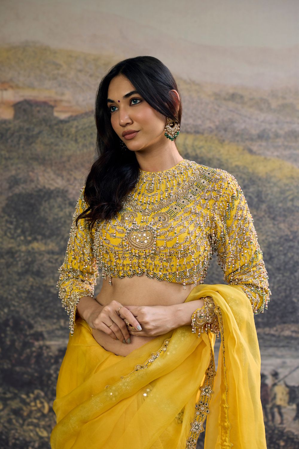 Peela Tara Organza Saree Set