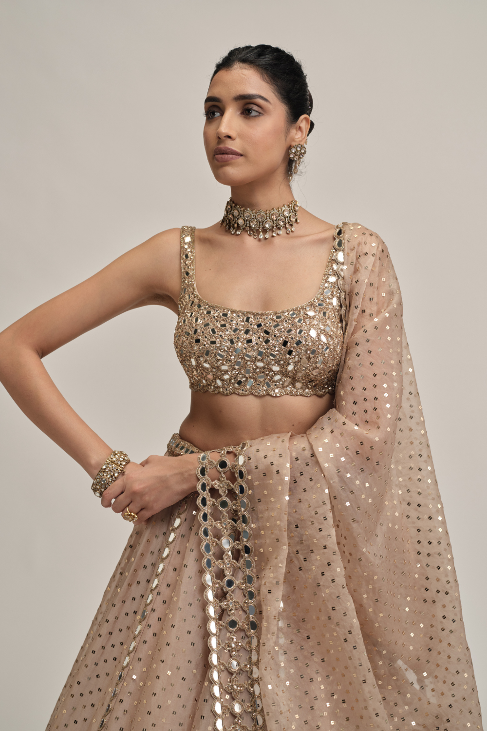 Light Beige Sequins Embroidered Lehenga Set