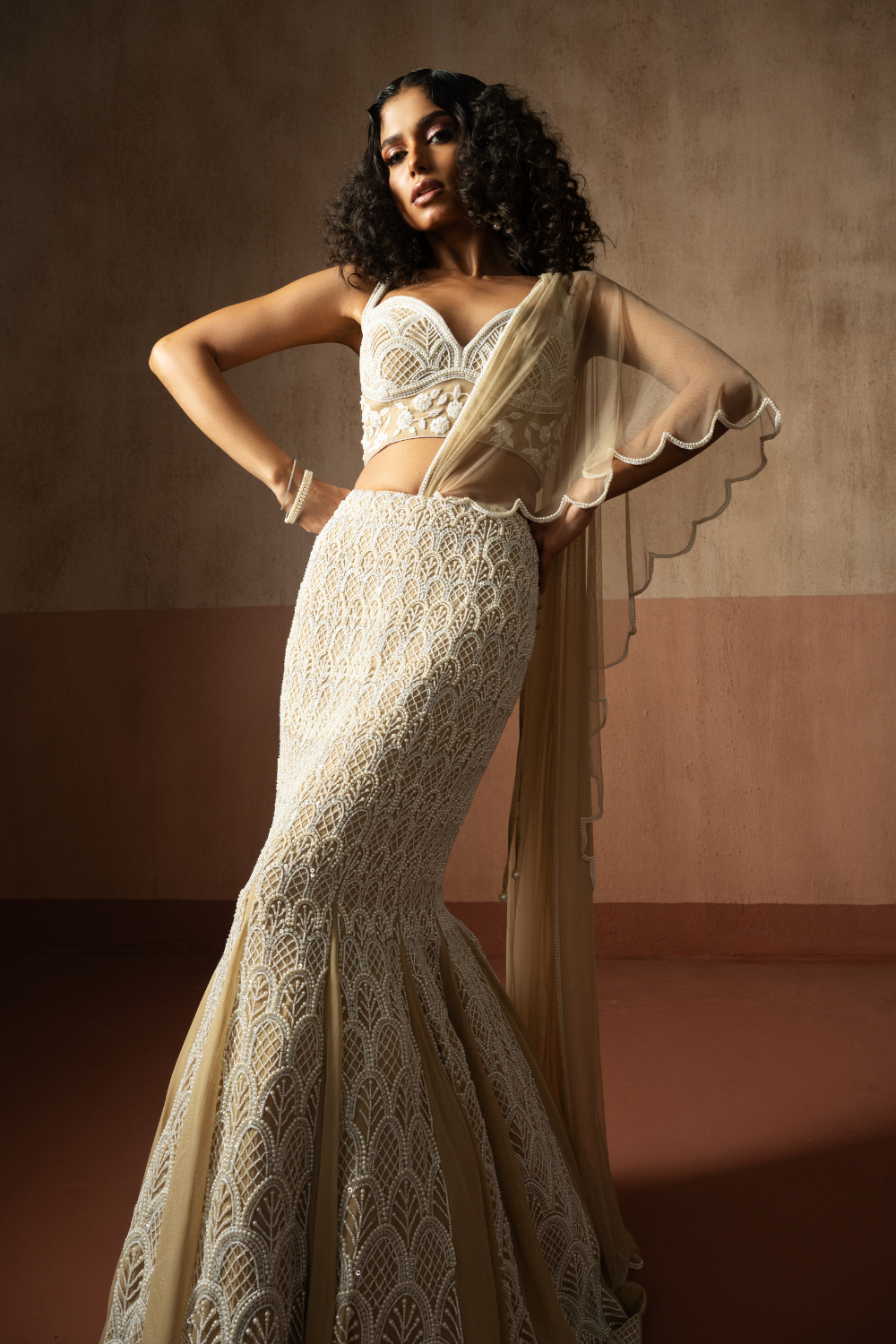 Fishtail style , beige & ivory hand embroidered , net &georgette fishtail saree, concept saree