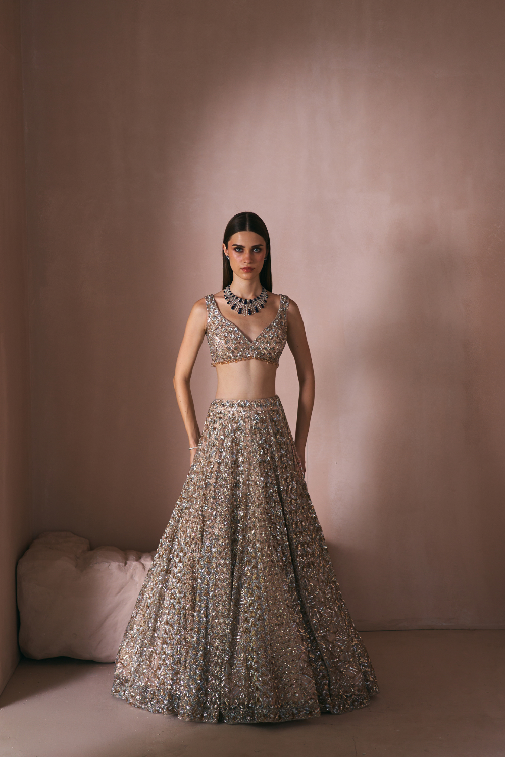 Champage Stardust Lehenga Set