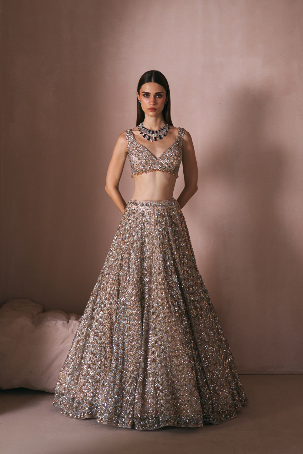Champage Stardust Lehenga Set