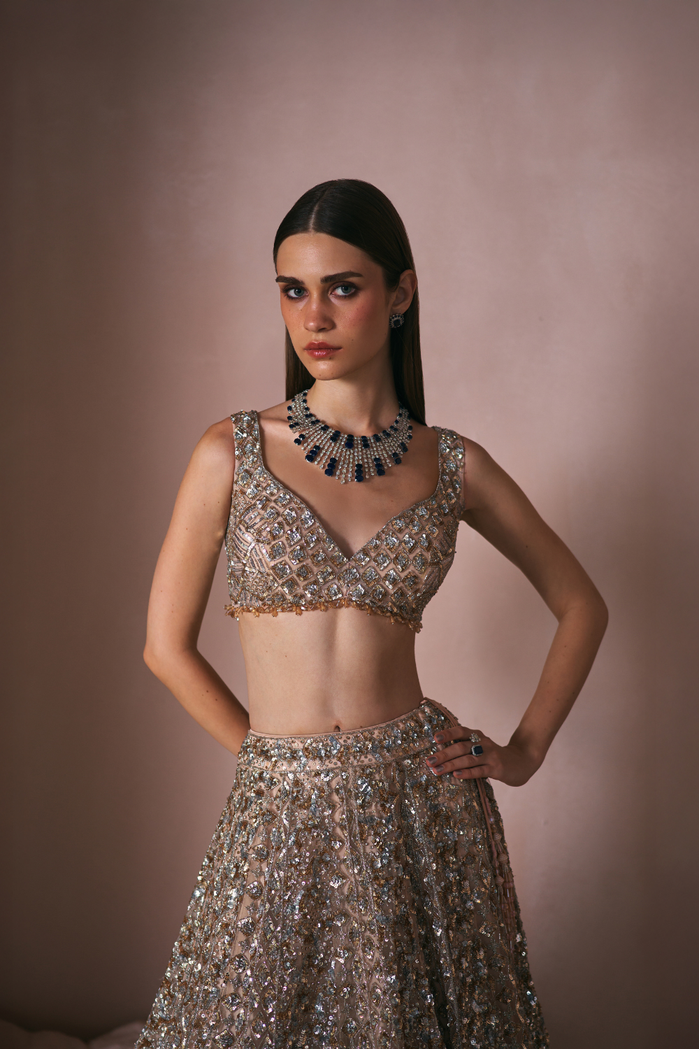 Champage Stardust Lehenga Set