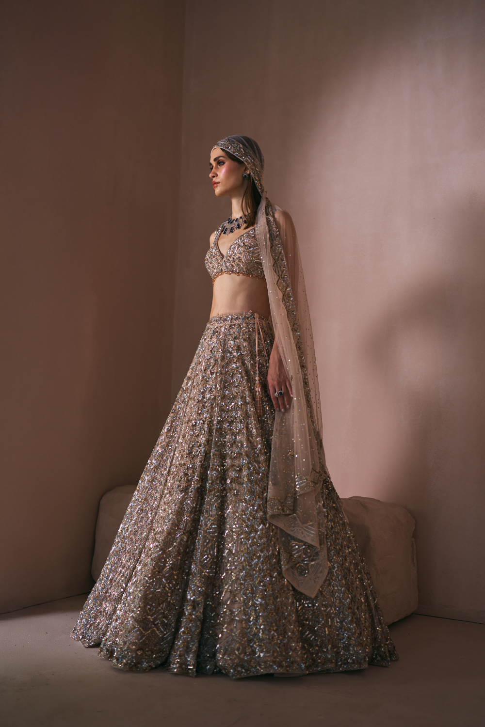 Champage Stardust Lehenga Set