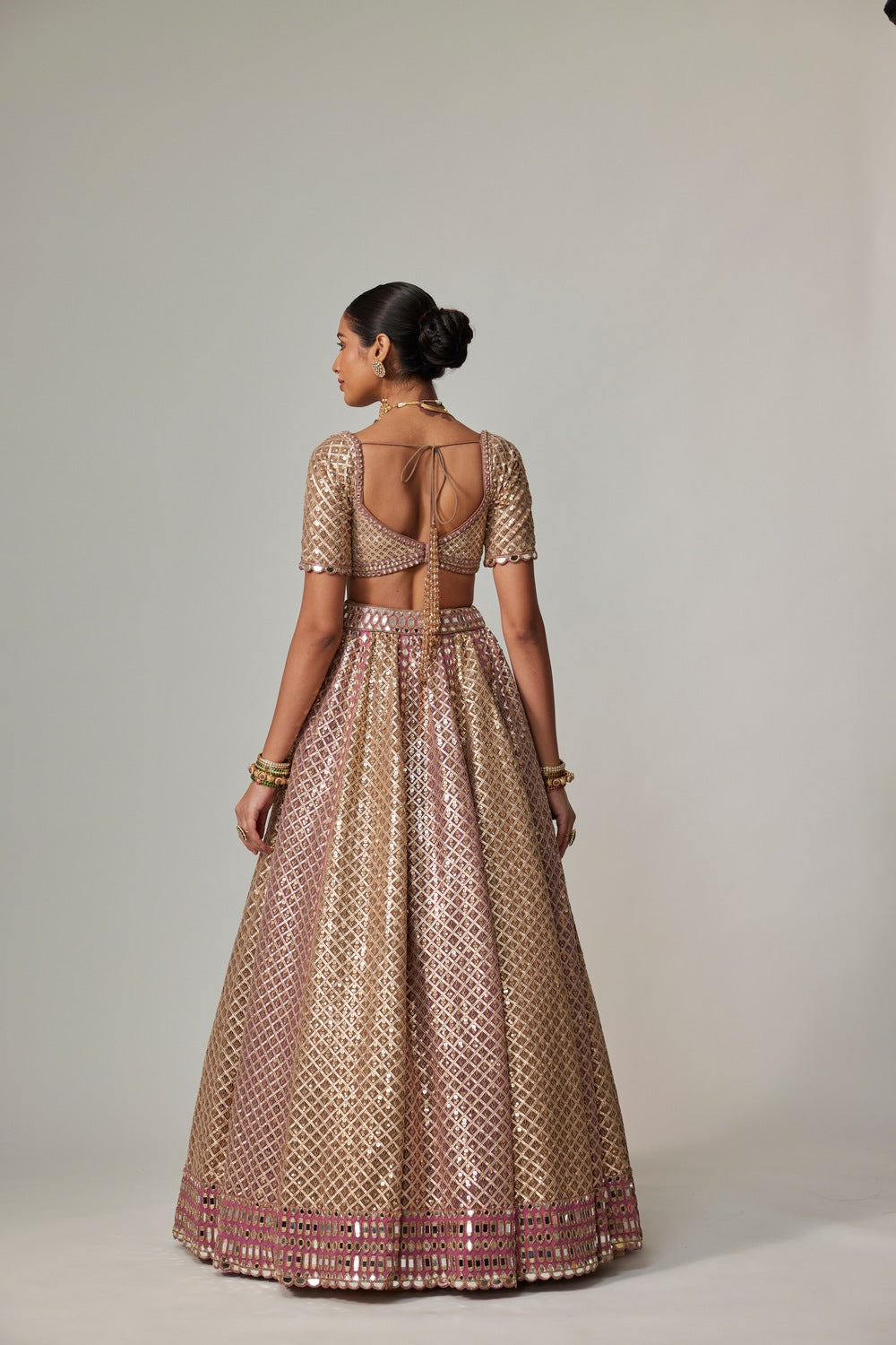 DEEP BEIGE MULTICOLOR METALLIC LEHENGA WITH ELBOW BLOUSE