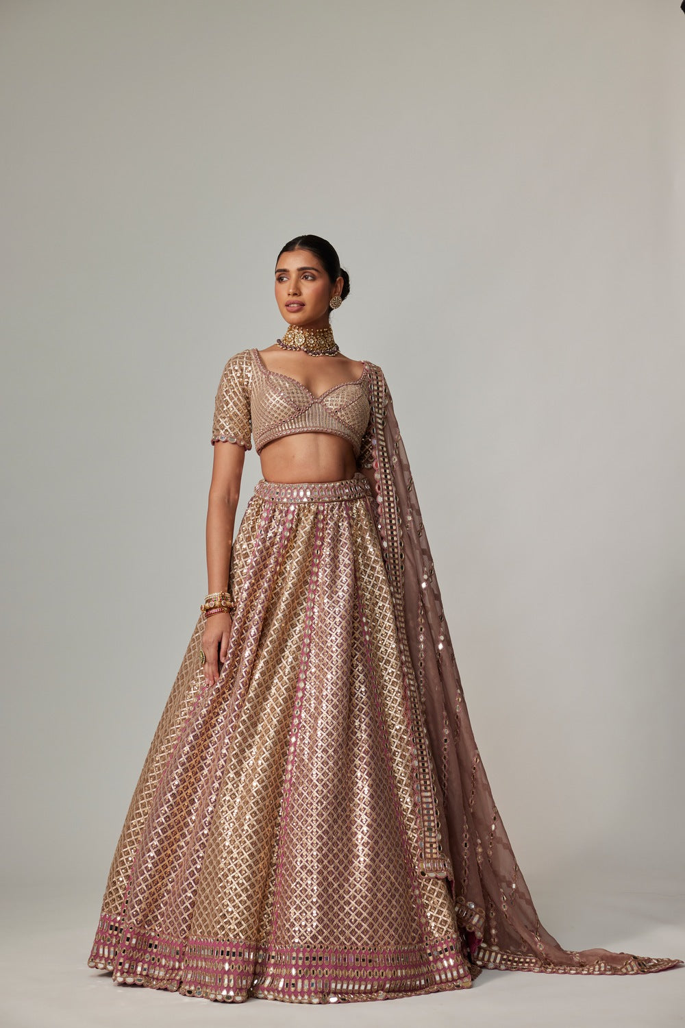 DEEP BEIGE MULTICOLOR METALLIC LEHENGA WITH ELBOW BLOUSE