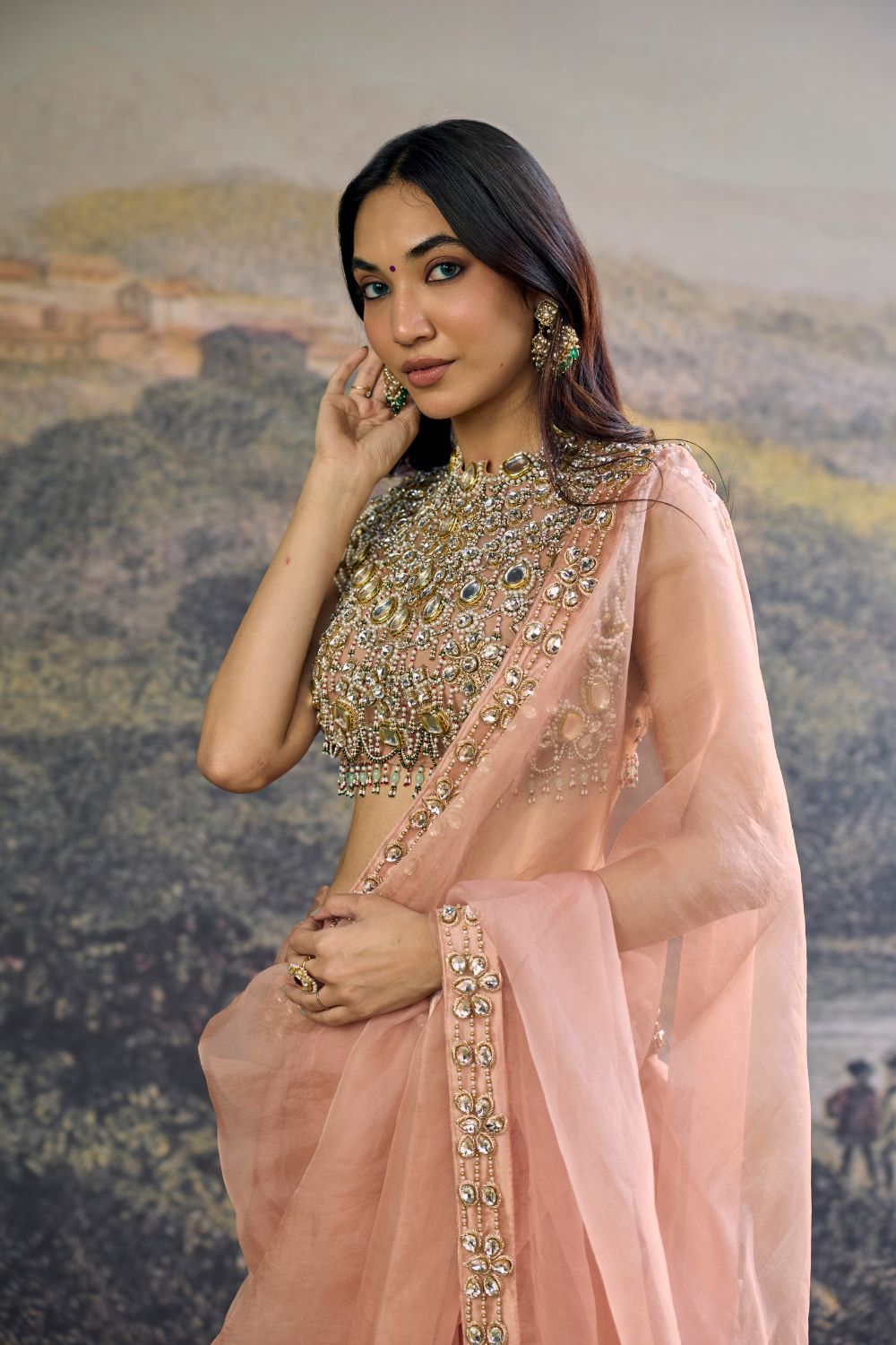 Padmika Saree Set