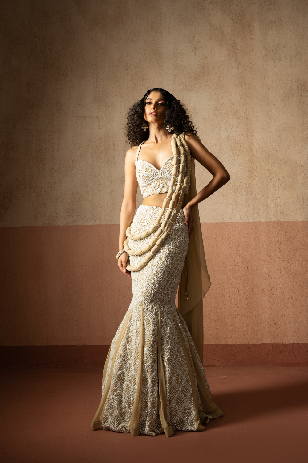 Fishtail style , beige & ivory hand embroidered , net &georgette fishtail saree, concept saree