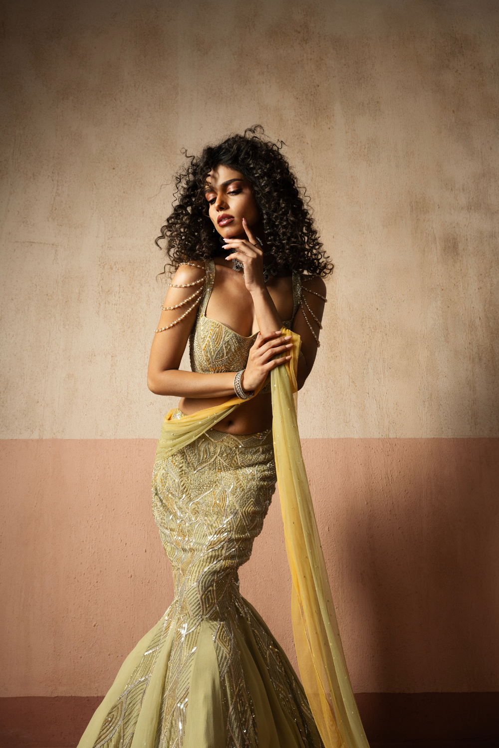 Fishtail style , sage green & pastel yellow hand embroidered , net &georgette fishtail saree, concept saree