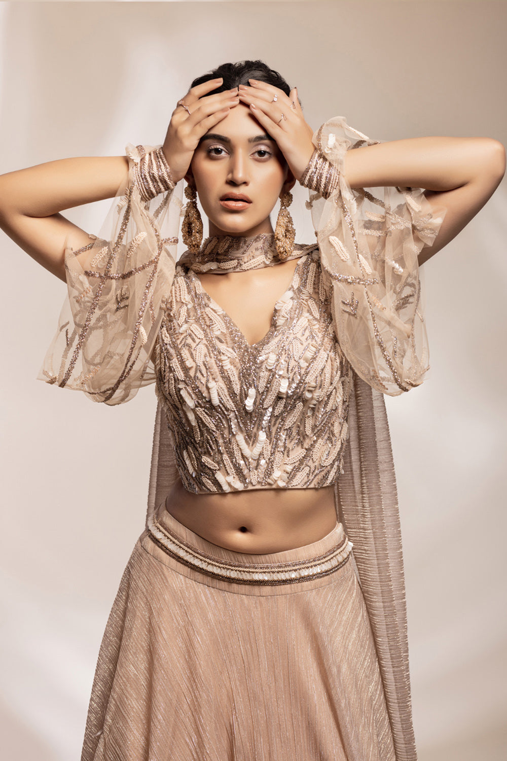 Shimmering Georgette Skirt With Embellished Blouse