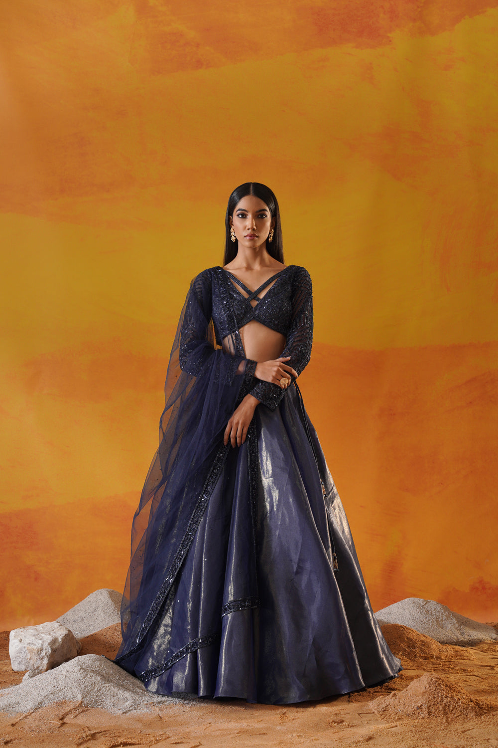 Navy Blue Tisue Organza Lehenga Choli Set