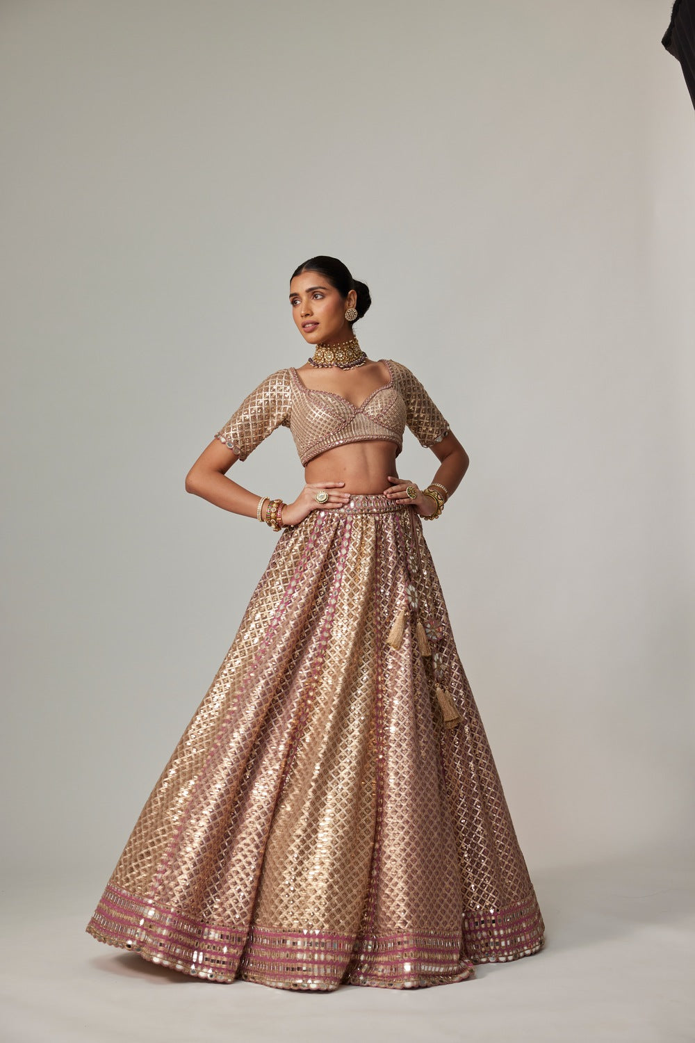 DEEP BEIGE MULTICOLOR METALLIC LEHENGA WITH ELBOW BLOUSE