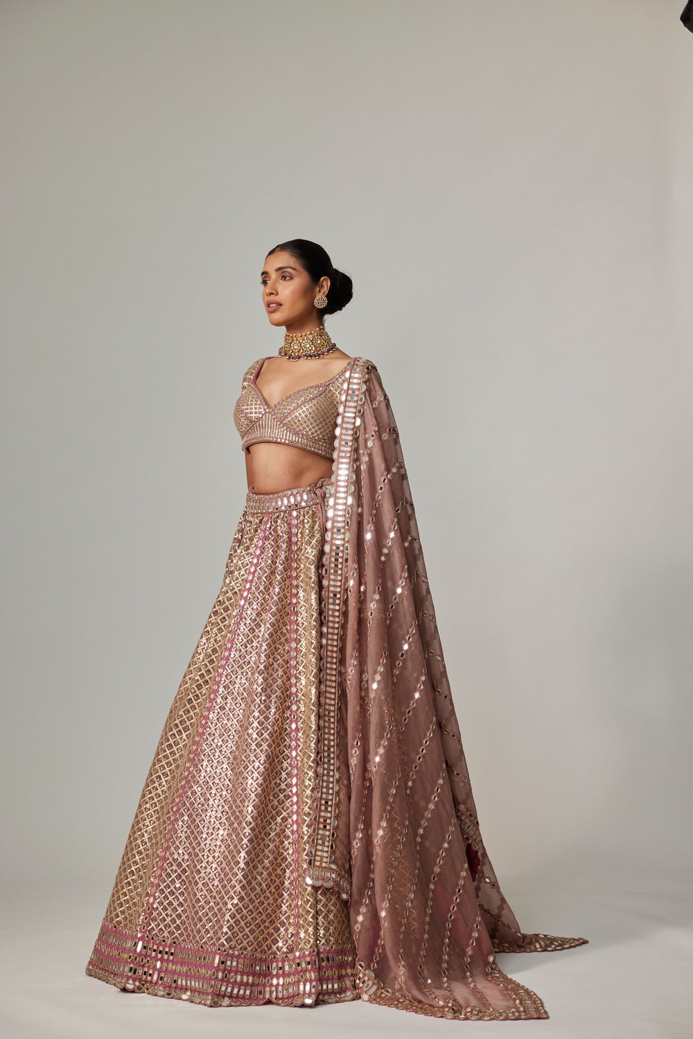 DEEP BEIGE MULTICOLOR METALLIC LEHENGA WITH ELBOW BLOUSE